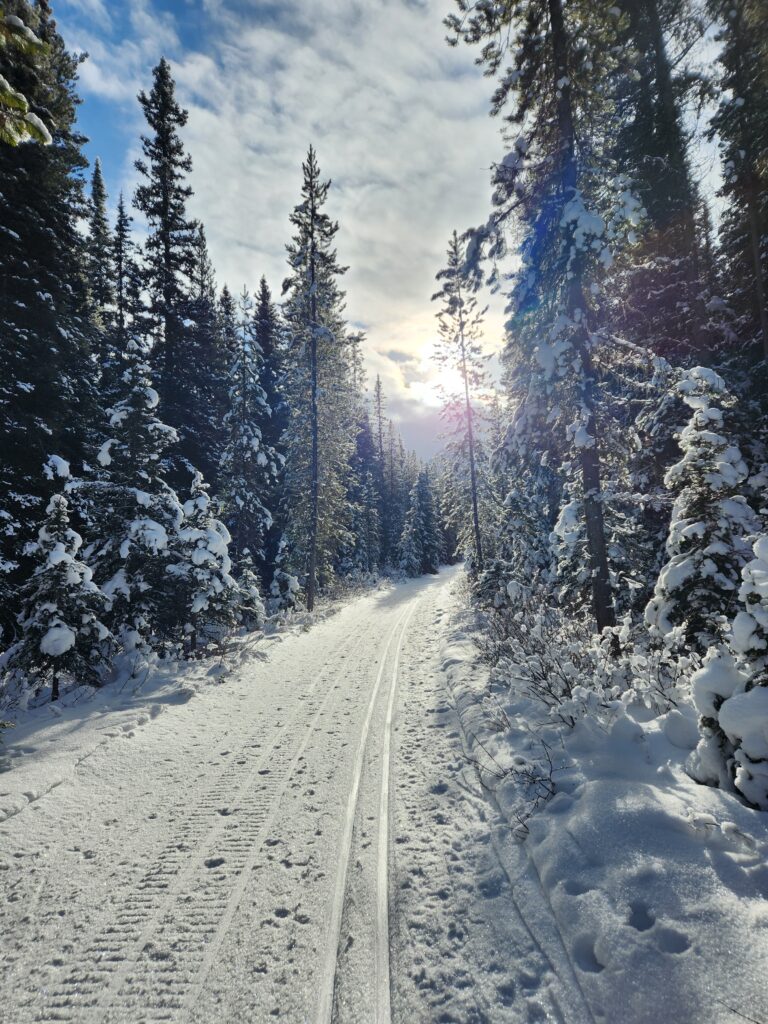 Cross-Country Skiing in Banff – Don’t Freeze the Insulin!