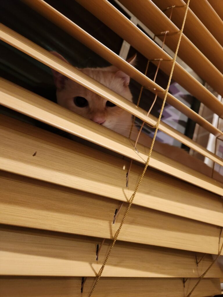 How Other People React to My Diabetes – Part 3