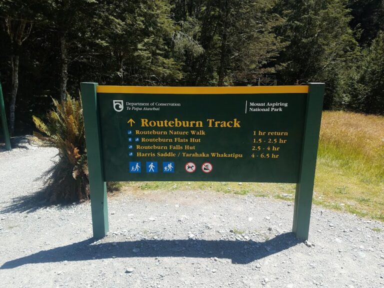 Not Injecting Insulin While Backpacking in New Zealand