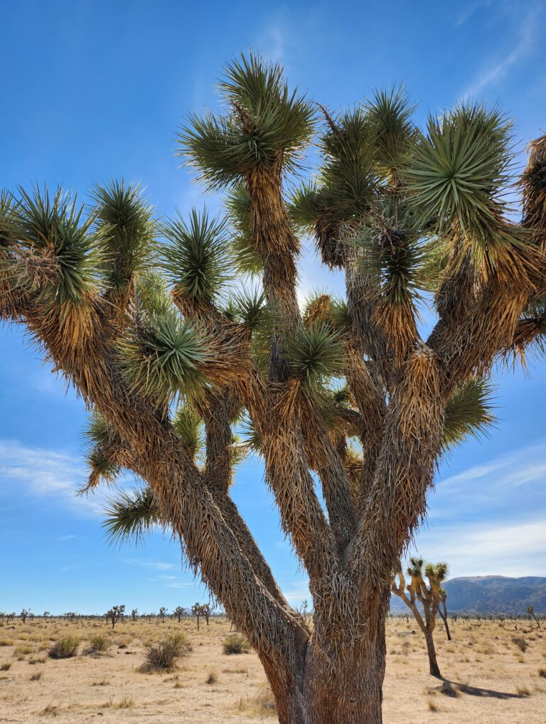 What it’s Like Camping with a Diabetic – Alex Interview