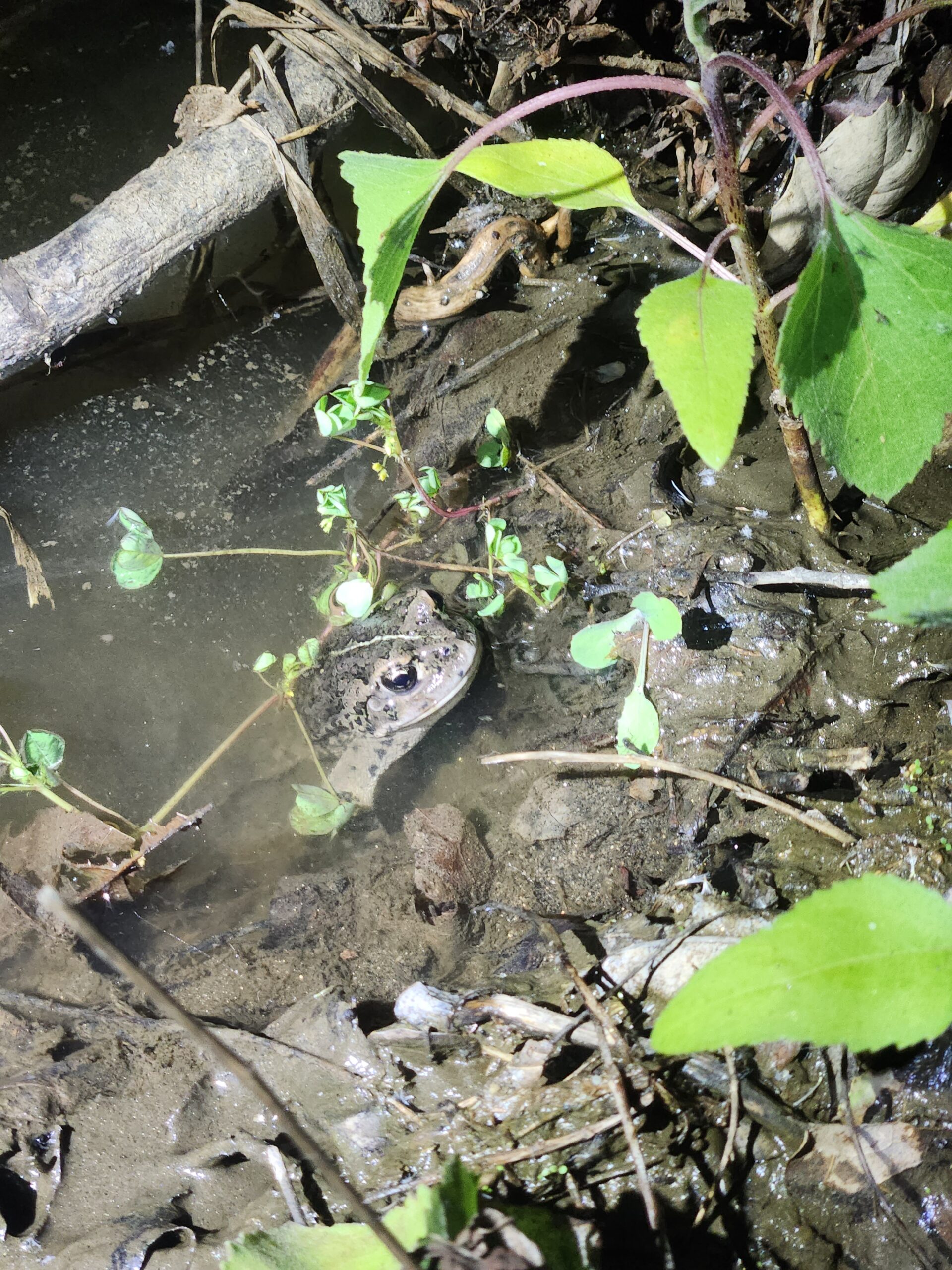 How Other People React to My Diabetes – Part 4